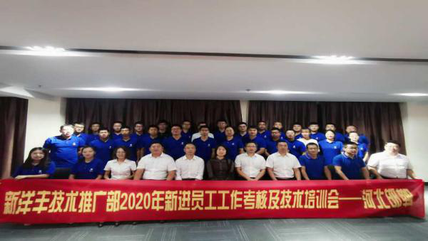 图片12.png