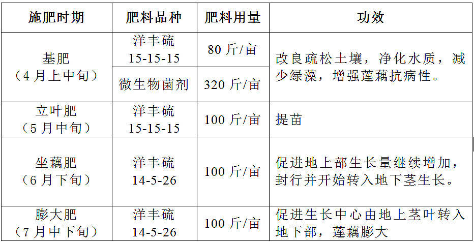1616289713(1)_副本.jpg