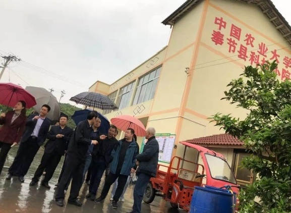 图片4张主任在科技小院服务中心作出指示.jpg