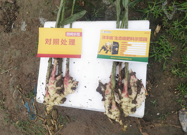 微信图片_20210512103920_副本.jpg