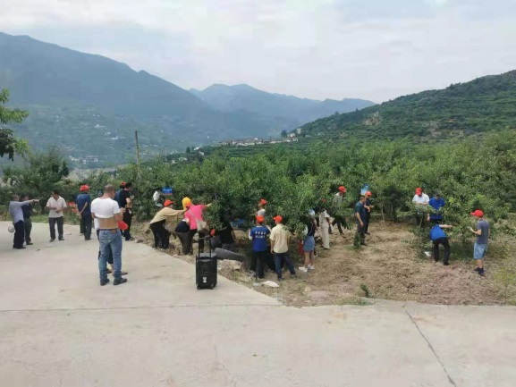 图片8罗德国老师在示范田观摩会现场讲解介绍澳之蓝套餐肥效果2.jpg