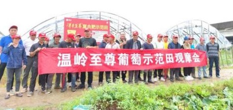 洋丰至尊葡萄观摩会现场照片.jpg