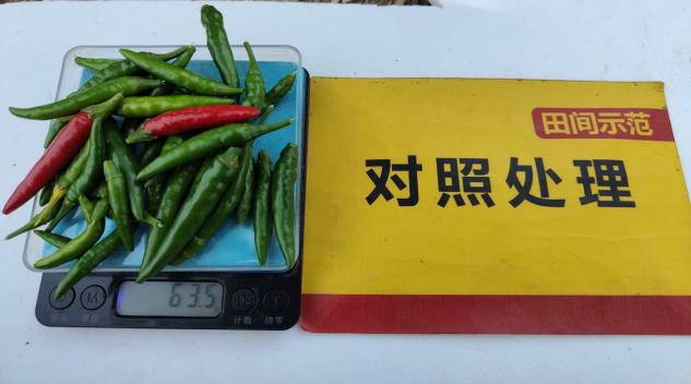 对照谈单株果重.jpg
